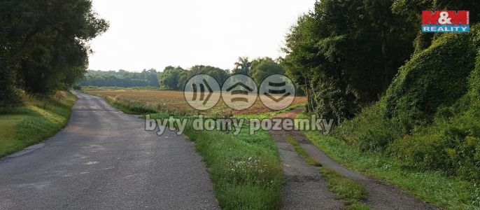 Prodej, Zahrada, Hoštka