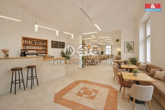 Pronájem, Obchodní objekt, Chotěboř