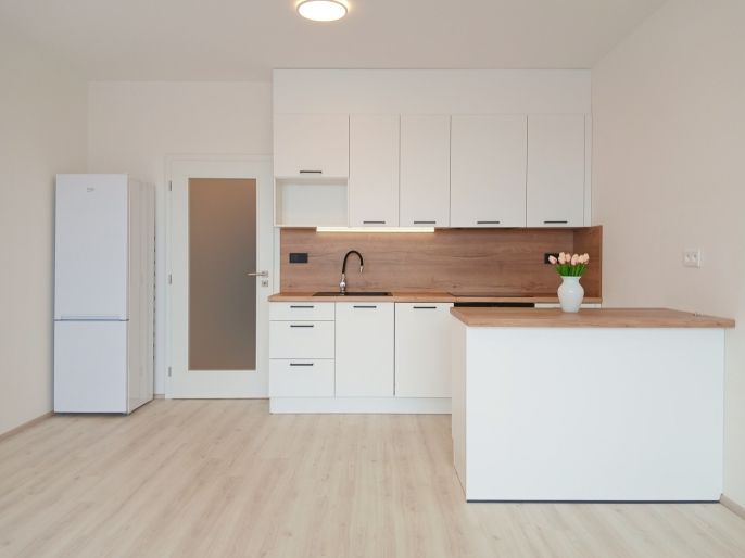 Pronájem, Byt 1+kk, Opava