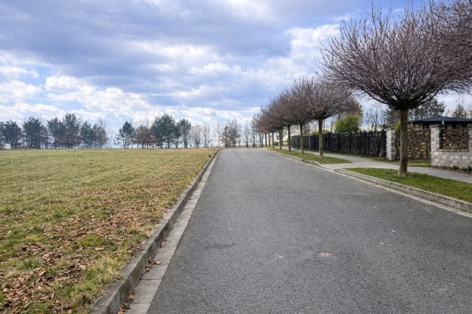 Prodej, Pozemek k bydlení, Velké Albrechtice