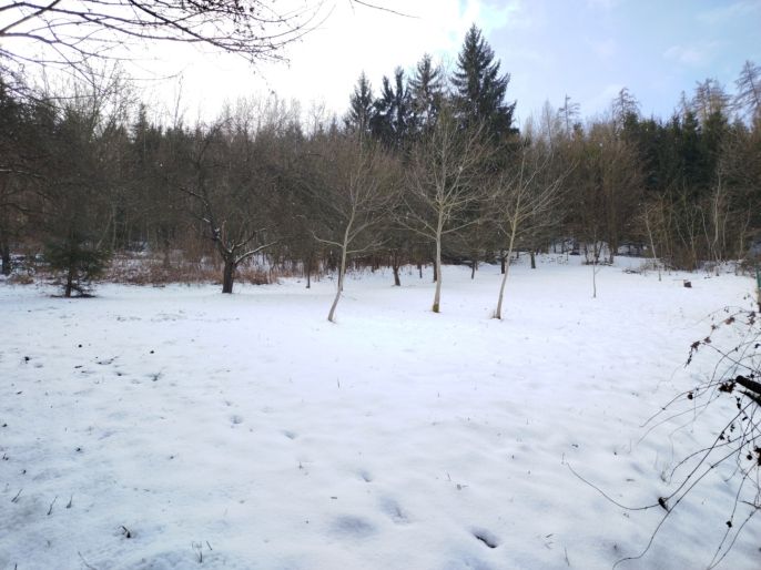 Prodej, Zahrada, Tišnov