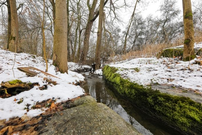 Prodej, Rodinný dům, Měčín