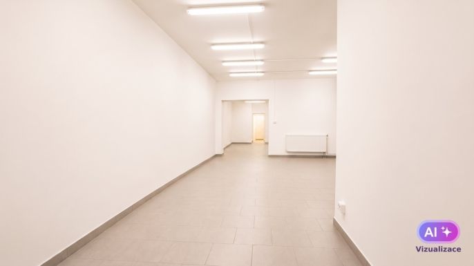 Pronájem, Obchod a služby, Louny