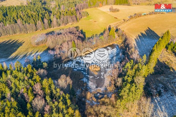 Prodej, Vodní plocha, Horní Ves