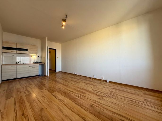 Pronájem, Byt 1+kk, Ostrava