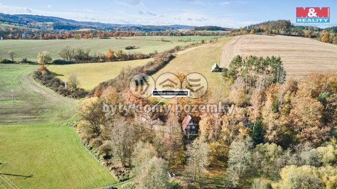 Prodej, Chata, Němětice