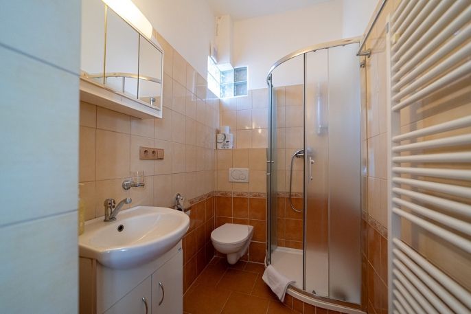 Prodej, Hotel, penzion, Brandýs nad Orlicí