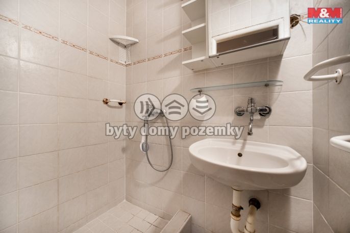 Prodej, Zemědělská usedlost, Čistá