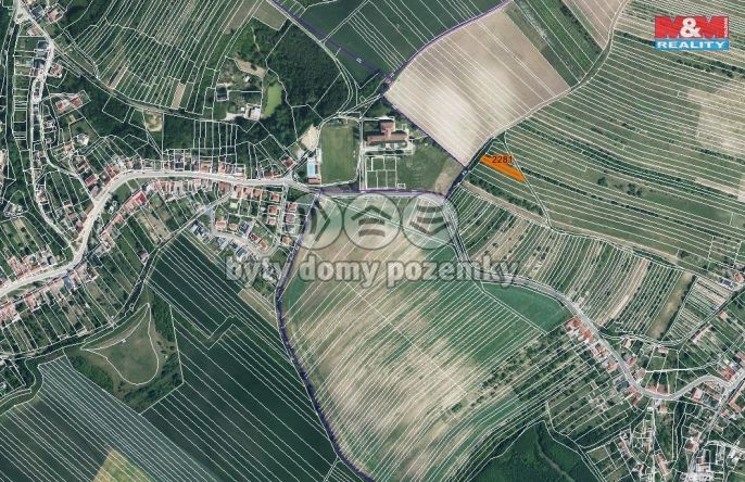 Prodej, Pole, Stavěšice