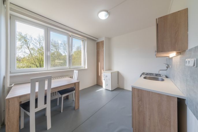 Prodej, Byt 1+1, Ostrava