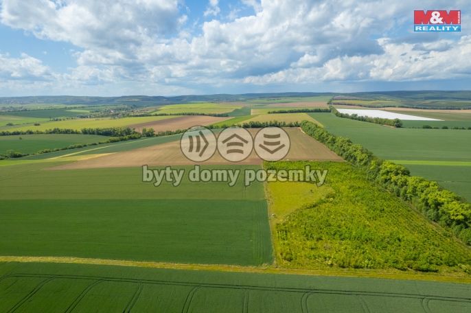 Prodej, Pole, Šumice