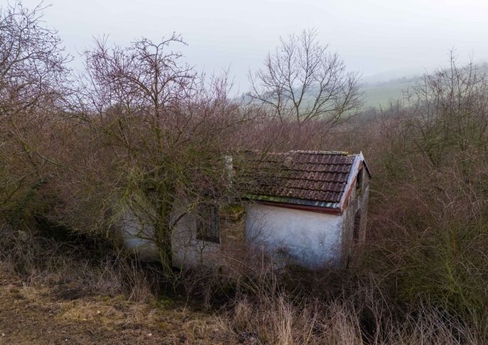 Prodej, Zahrada, Malé Žernoseky