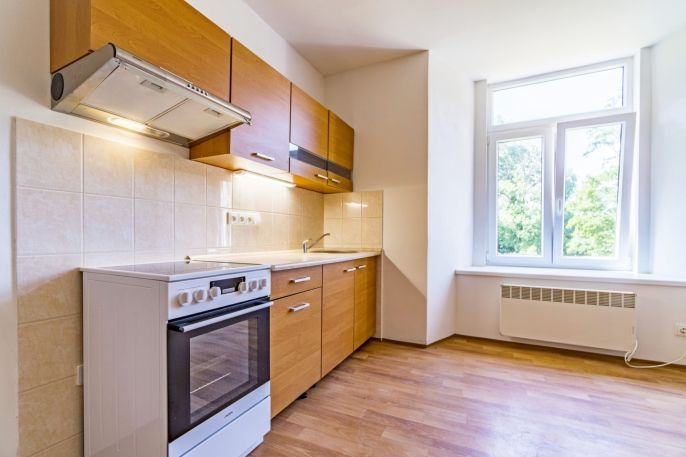 Pronájem, Byt 1+kk, Vlčice