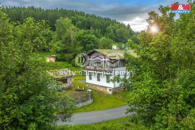 Prodej, Hotel, penzion, Plavy