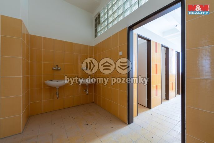 Prodej, Výrobní objekt, Rovná