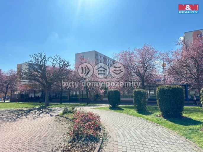 Pronájem, Obchod a služby, Mladá Boleslav