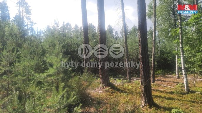 Prodej, Les, Březovice