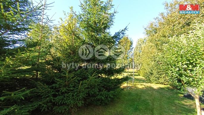 Prodej, Chalupa, Brandov