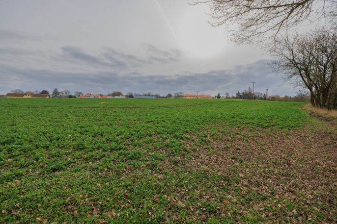 Prodej, Pozemek k bydlení, Dobřany