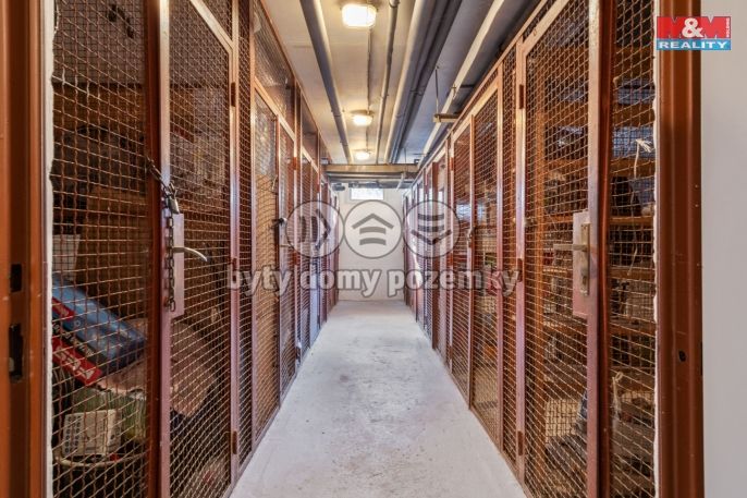 Prodej, Byt 3+kk, Průhonice