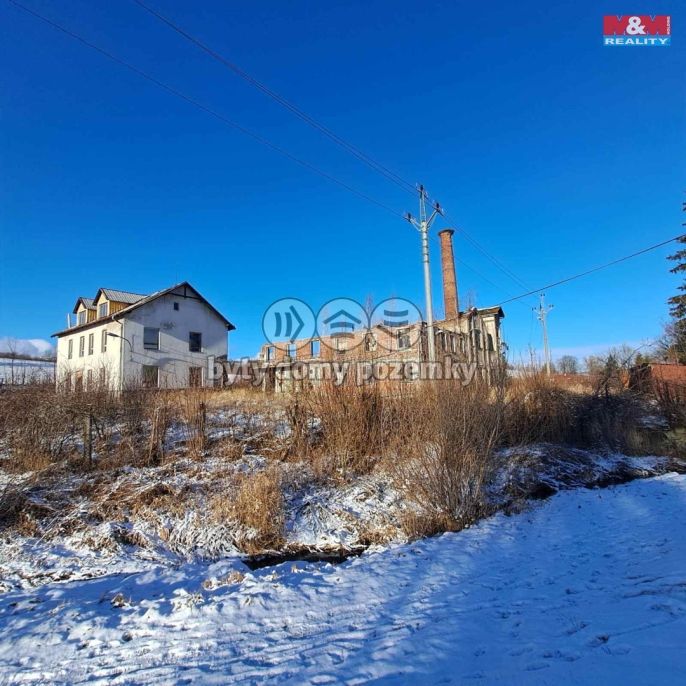 Prodej, Výrobní objekt, Ryžoviště