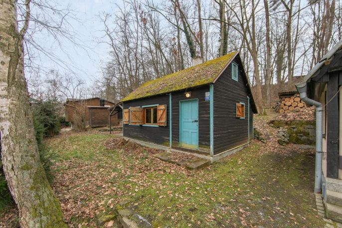 Prodej, Chata, Plešnice