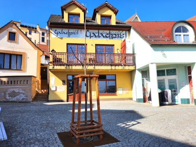 Prodej, Obchodní objekt, Kladno