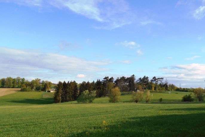 Prodej, Ostatní, Unhošť