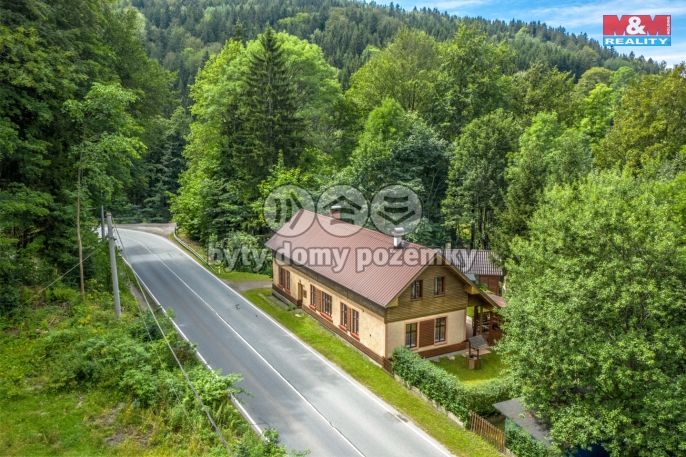 Prodej, Hotel, penzion, Rokytnice nad Jizerou