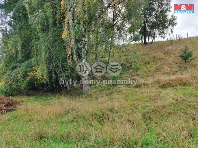 Prodej, Ostatní, Pila