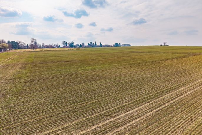 Prodej, Pole, Kunice