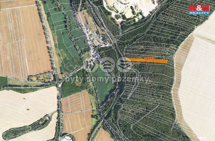 Prodej, Les, Lužná