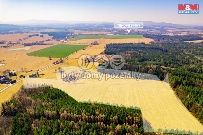 Prodej, Zemědělská usedlost, Trhové Sviny