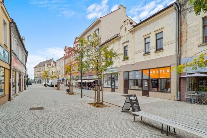 Prodej, Rodinný dům, 305 m², Kladno, T. G. Masaryka