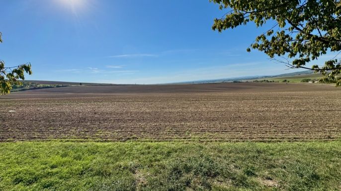 Prodej, Pozemek k bydlení, Křepice