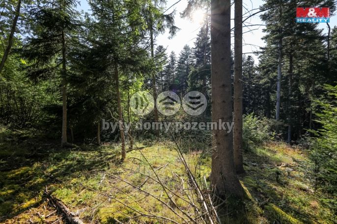 Prodej, Les, Petrovice u Sušice