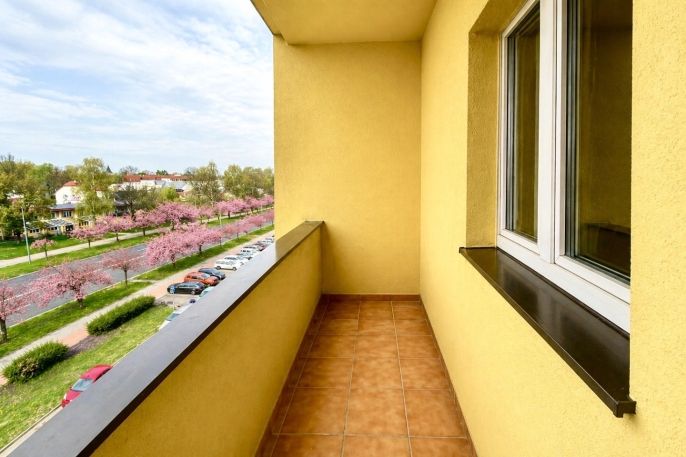 Pronájem, Byt 2+1, Karviná