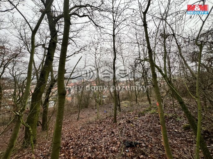 Prodej, Pozemek k bydlení, Bílina