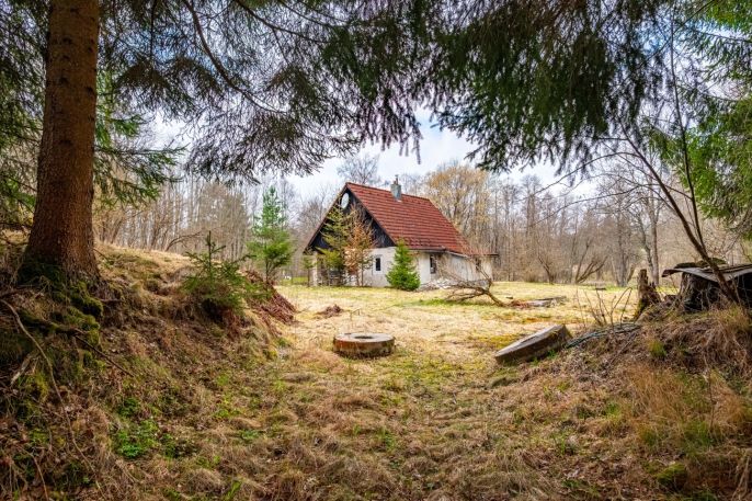 Prodej, Chata, Frymburk