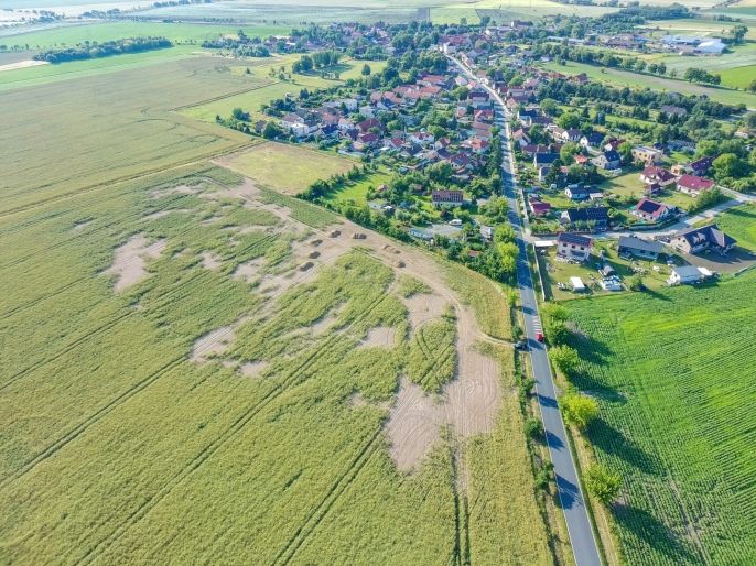 Prodej, Pole, Ratenice