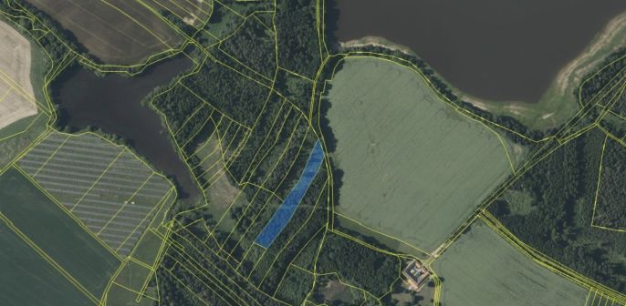 Prodej, Les, Dírná