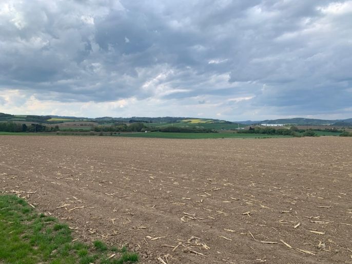 Prodej, Pole, Voděrady
