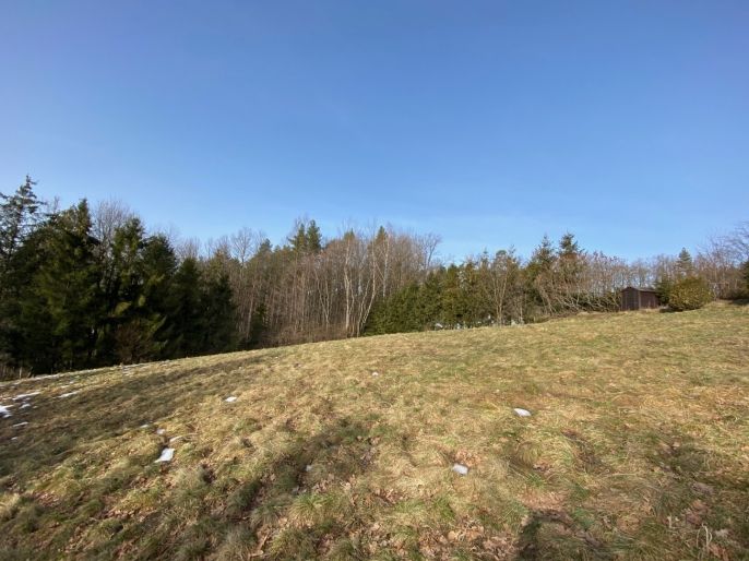 Prodej, Pole, Příbor