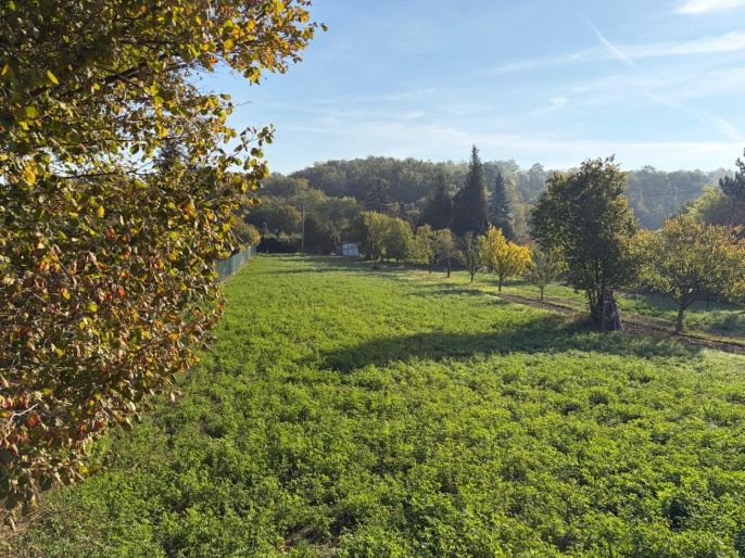 Prodej, Zahrada, Šlapanice