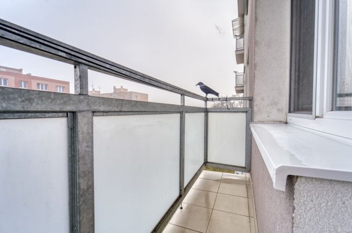 Prodej, Byt 2+1, Plzeň