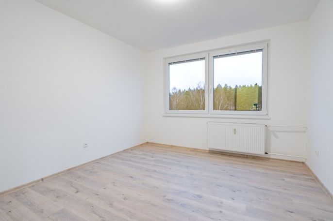 Prodej, Byt 3+1, Písek