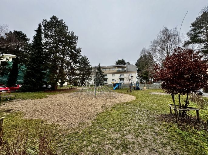 Pronájem, Byt 3+kk, Klecany