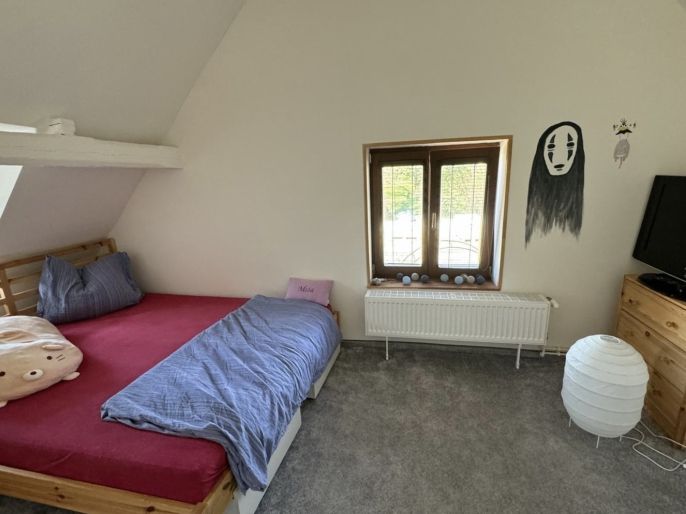 Prodej, Chalupa, Tři Sekery