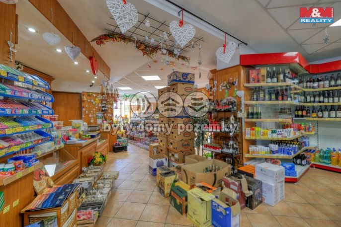 Pronájem, Obchod a služby, Železná Ruda