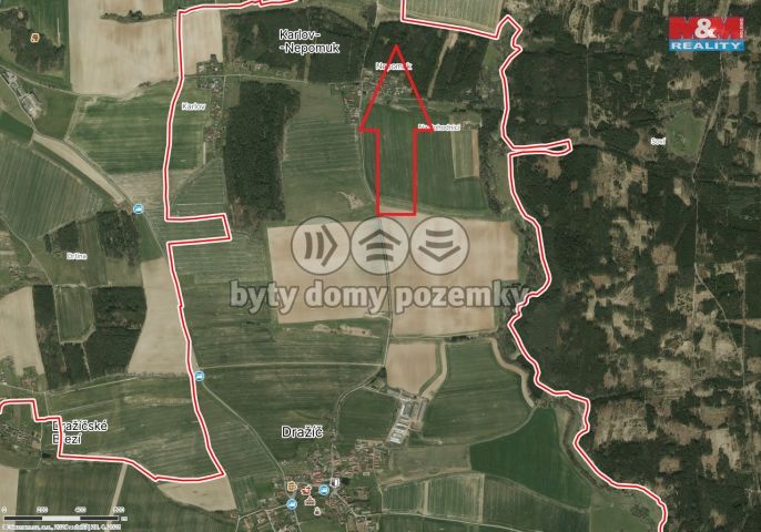 Prodej, Les, Dražíč